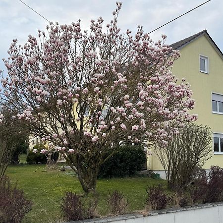 W&P Living Wohnung Mit Ausblick - Parkplatz Biberbach  Eksteriør bilde